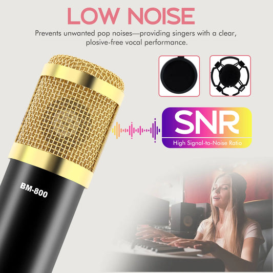 Home Studio Recording Kit BM800 BM800 Equipment Condenser Microphone Professional Audio Mixer Computer Mobile Phone Anchor Recording Cantilever Bracket
