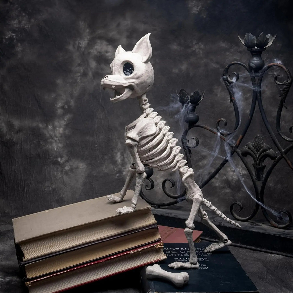 12.6 inches Plastic Puppy Bones Skeleton Plastic Chihuahua Dog Skeleton Halloween Decorations  with Posable Joints for Halloween Indoor Outdoor, Graveyard Party Decor